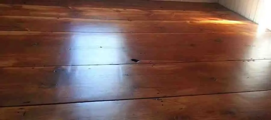 repairing timber floors