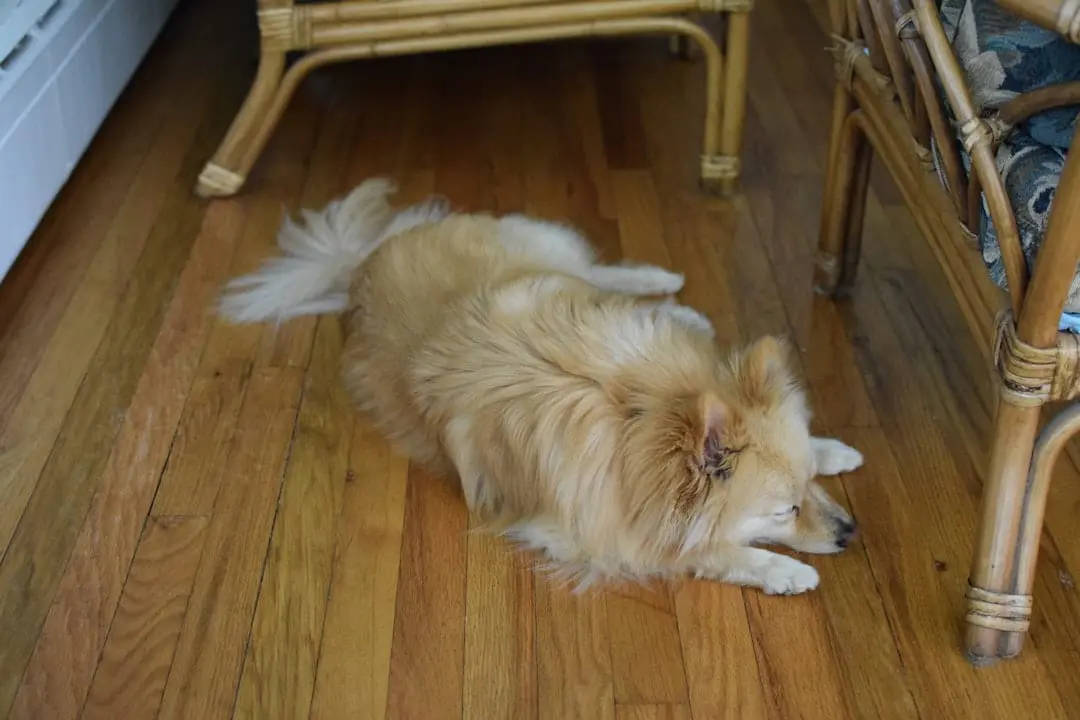 best fake hardwood floors