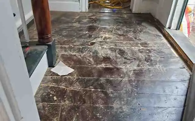Hardwood floor scratch remover