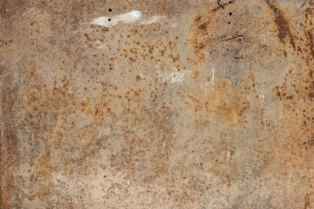 signs of mold under hardwood floors