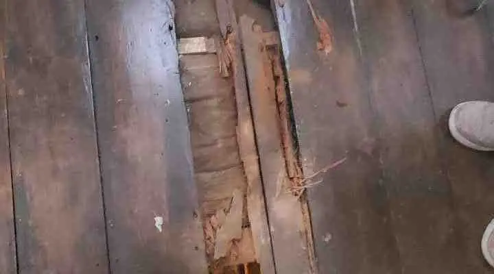 damaged hardwood repair