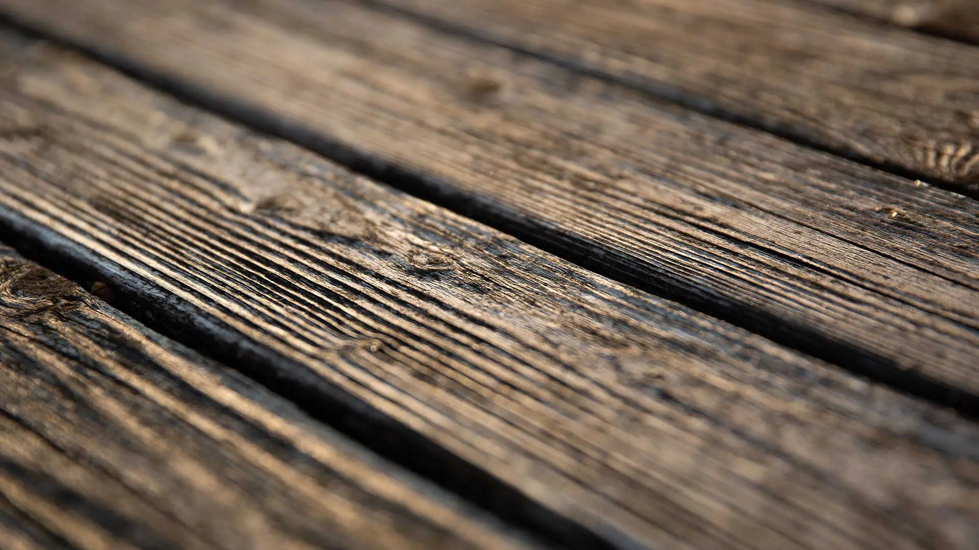 shallow depth-of-field, close-up shot focusing on the textured surface of weathered, dark wooden planks