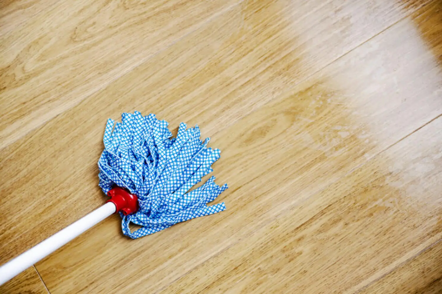 Mop on a clean hardwood floor representing proper hardwood floor care after refinishing or installation