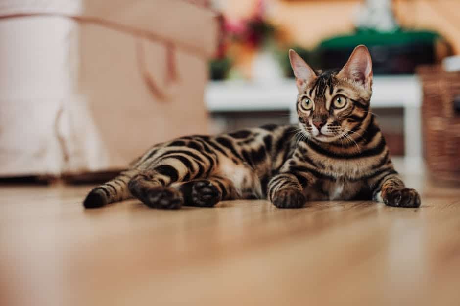 Keep It Gleaming: 10 Maintenance Tips for Hardwood Floors