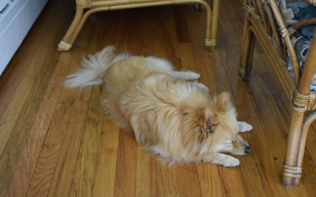 Wood You Believe It? Best Fake Hardwood Floors Reviewed