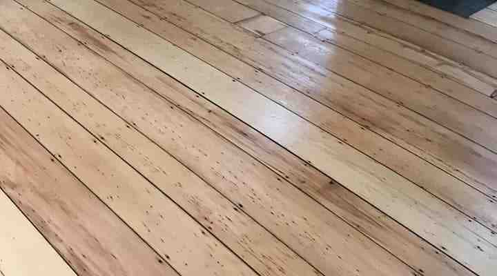 Find Your Perfect Light Wood Flooring