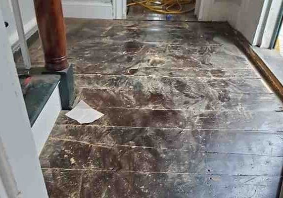 Hardwood floor repair Reading
