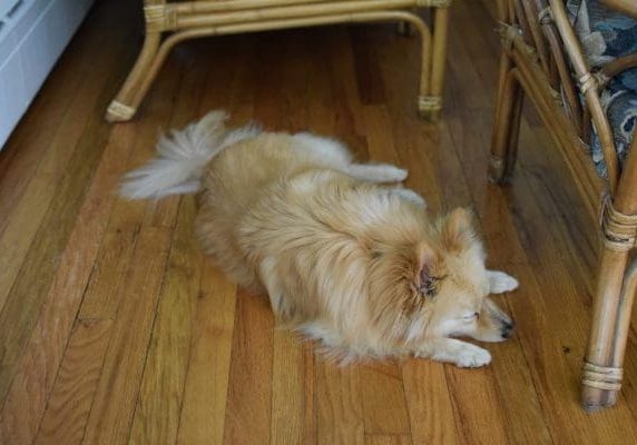 best fake hardwood floors