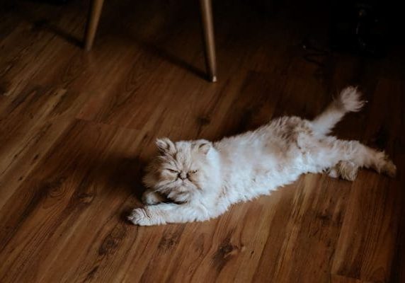 Hardwood Flooring Cost