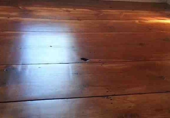 repairing timber floors