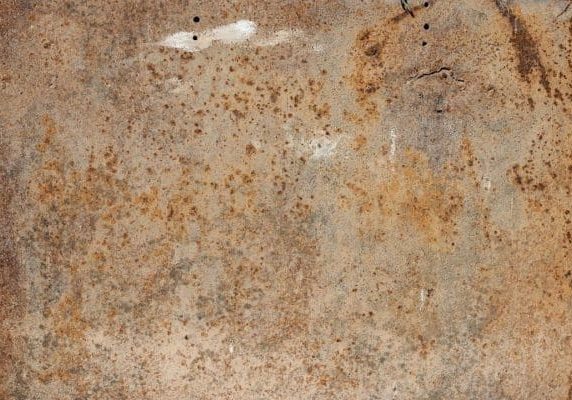 signs of mold under hardwood floors